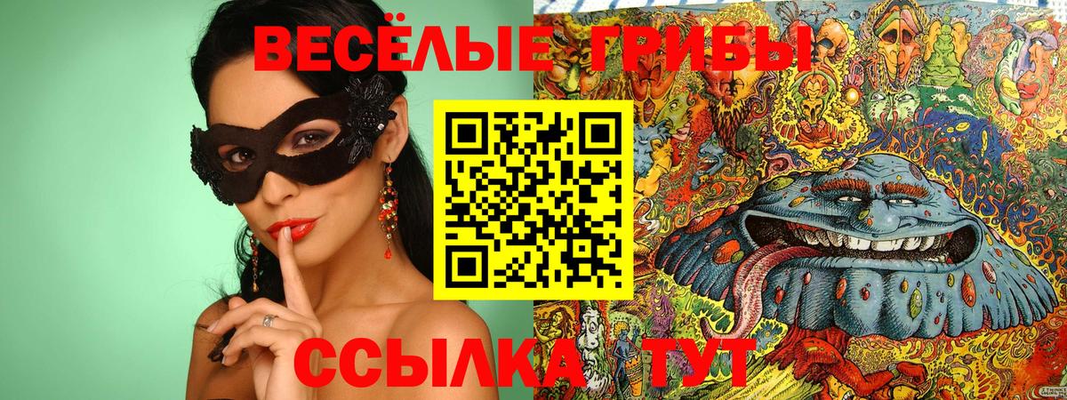 купить закладку  Галлюциногенные грибы Psilocybine cubensis  Вход с VPN  Киселёвск 