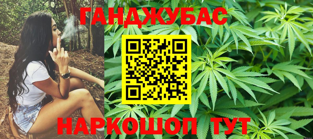 Бошки Шишки планчик Киселёвск
